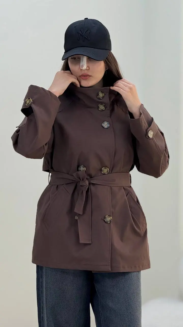 بارونی نگار