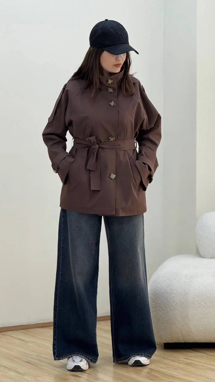 بارونی نگار