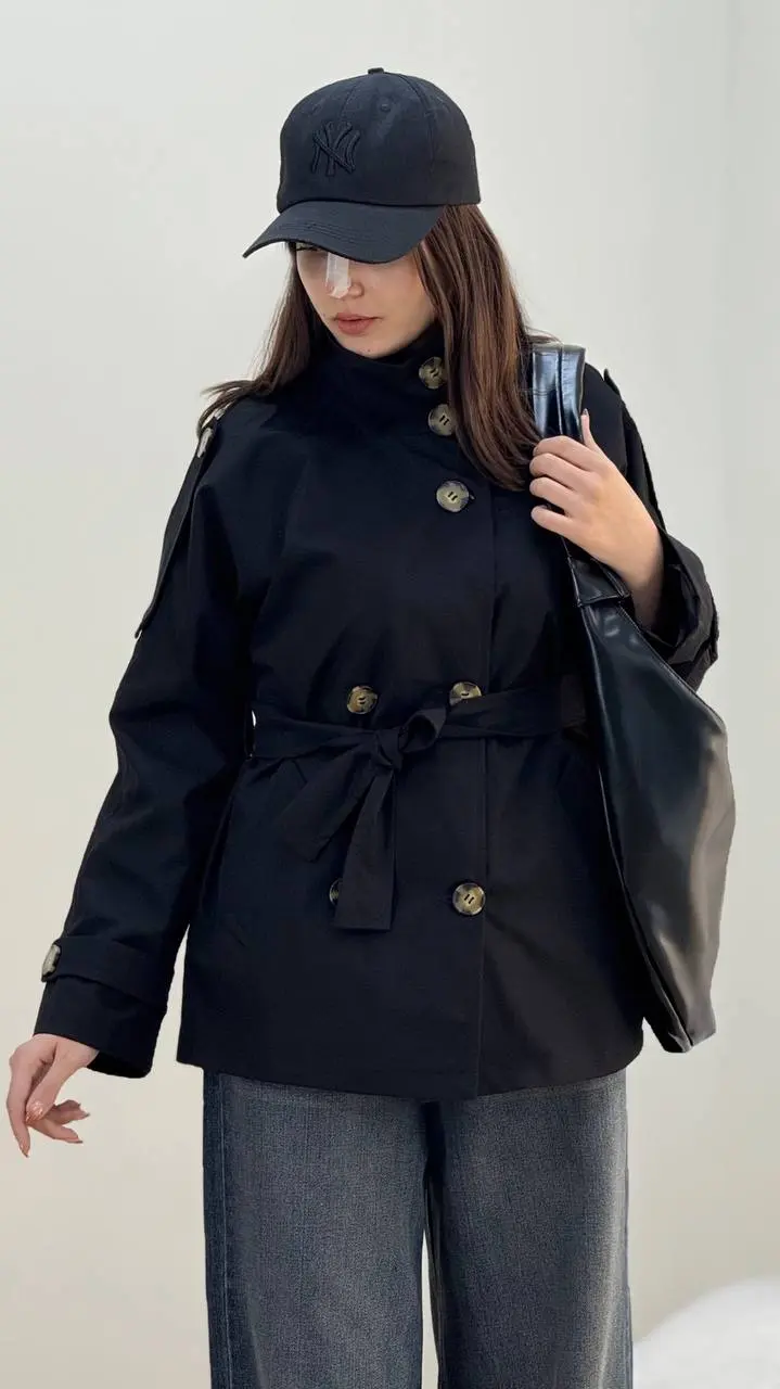 بارونی نگار