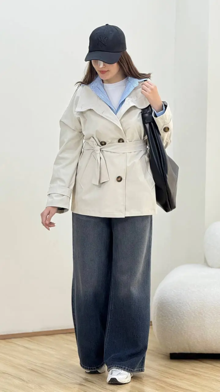 بارونی نگار