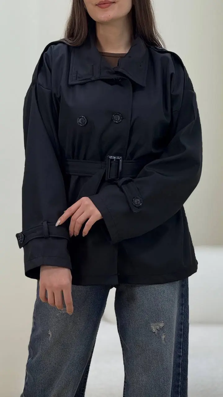 بارونی گیتا