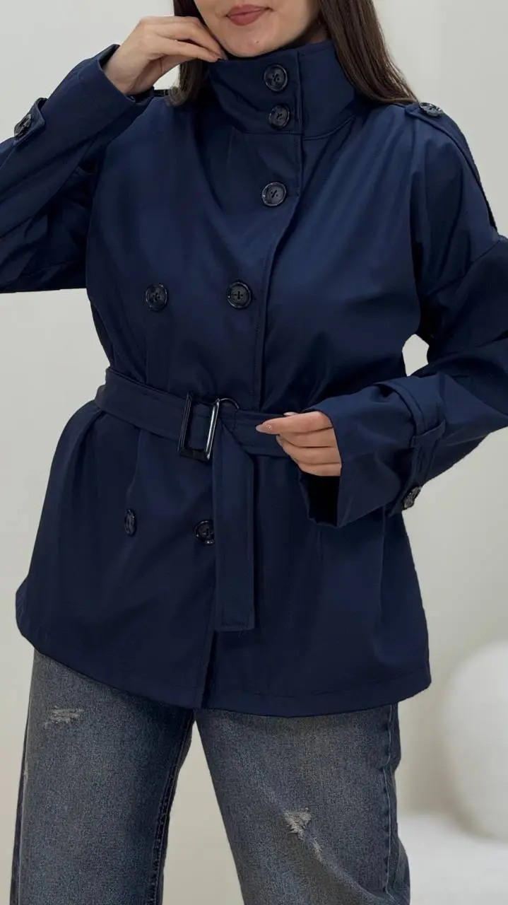 بارونی گیتا