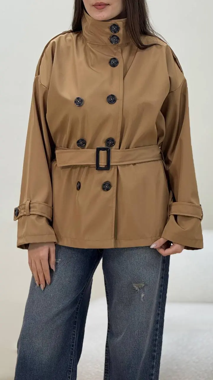 بارونی گیتا