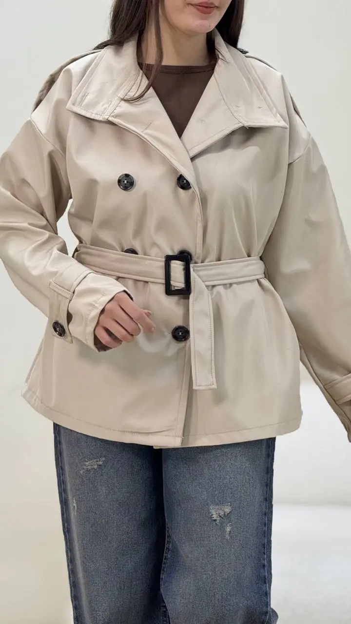 بارونی گیتا