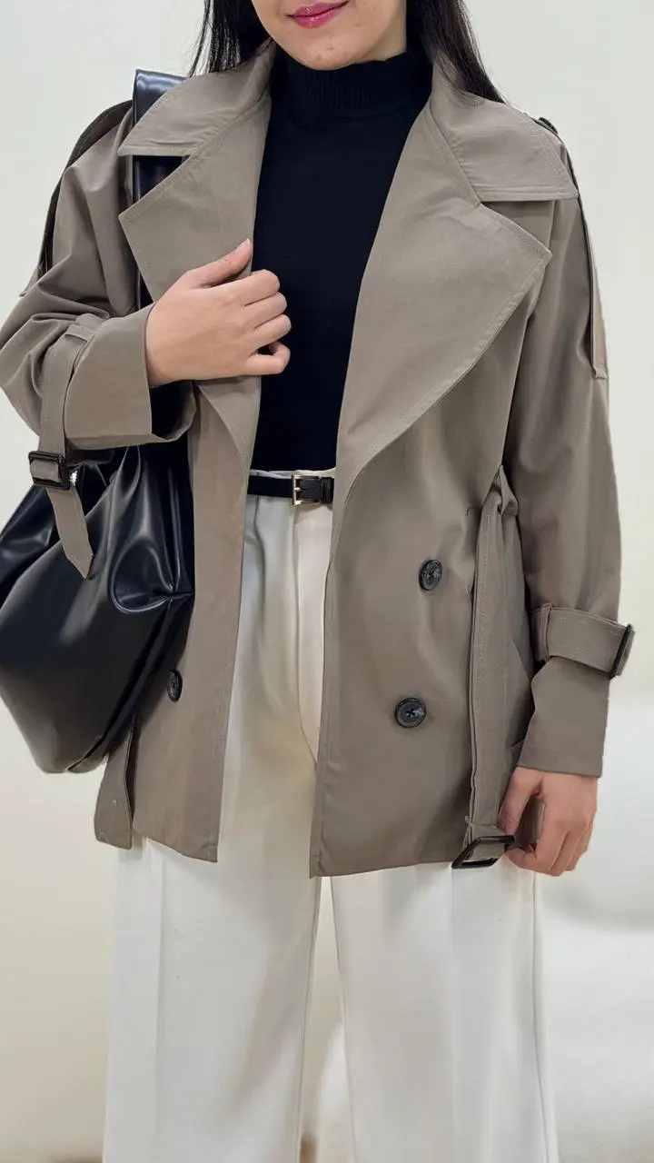 بارونی گیسا