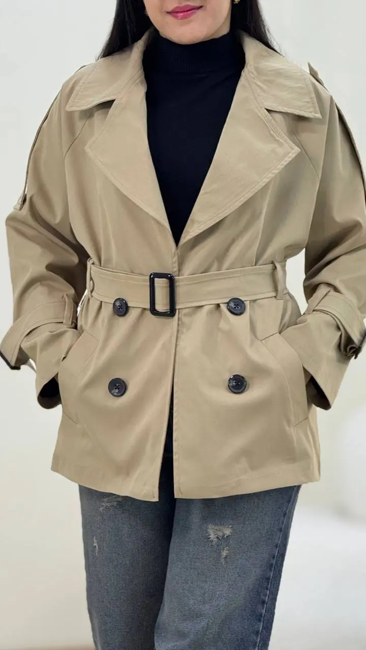 بارونی گیسا