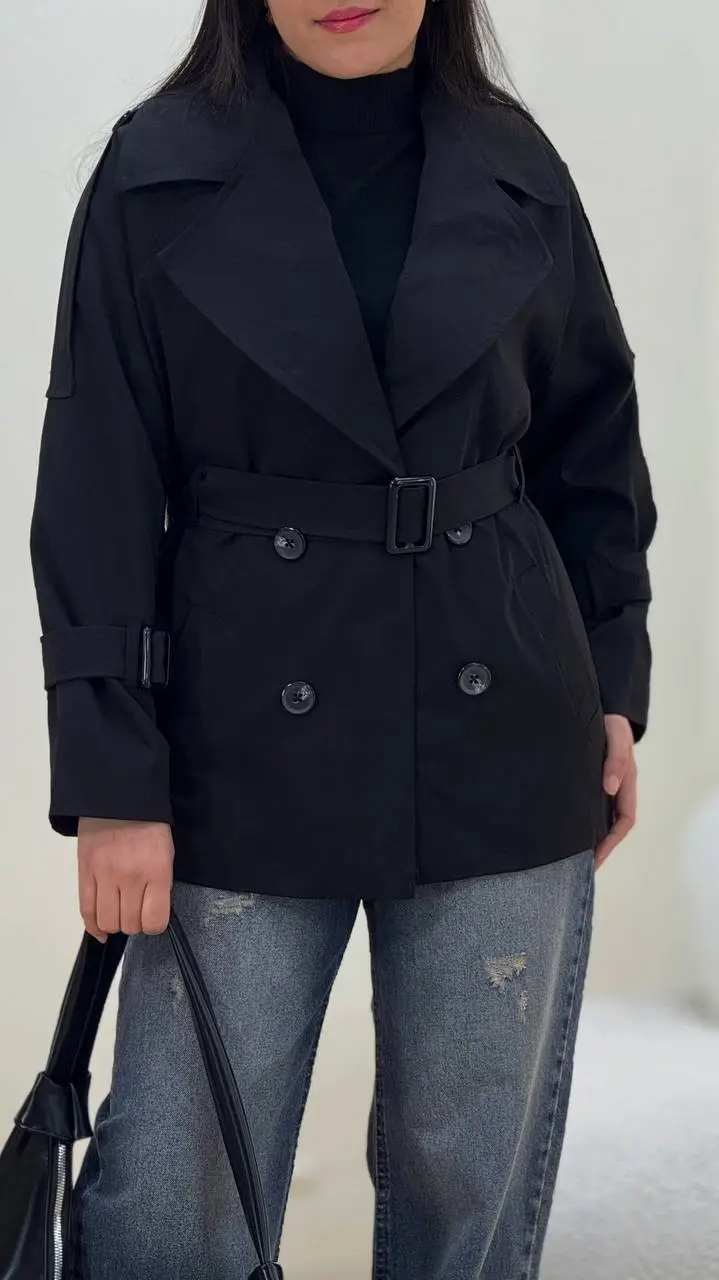 بارونی گیسا